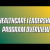A video about the healthcare leadership program