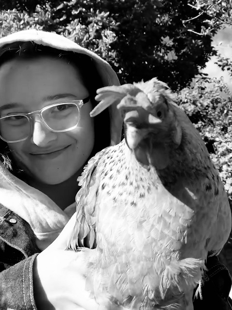 Layla and chicken