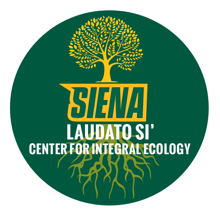 Laudato Si' Center logo