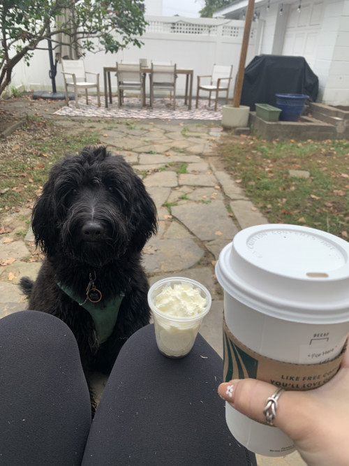 Sarah with her dog