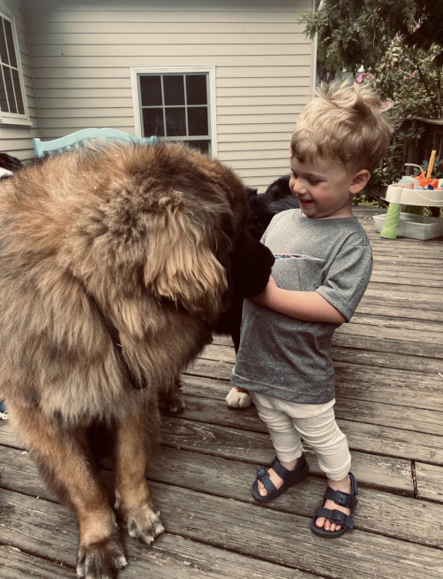 Sarah's son with a giant dog
