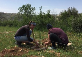 two people planting at the ten of nations